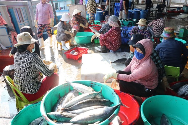Khánh Hoà: Chung tay gỡ khó cho ngành thuỷ sản - Anh 4