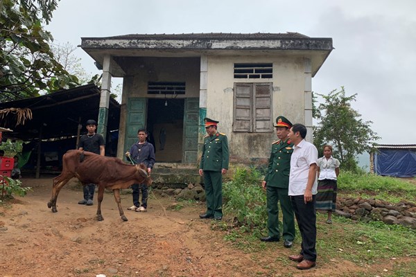 Trao tặng bò sinh kế cho 10 gia đình khó khăn có thanh niên nhập ngũ - Anh 1