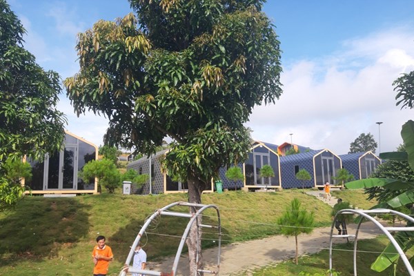 Quy hoạch tỉnh Phú Yên: Du lịch trở thành ngành kinh tế mũi nhọn - Anh 2
