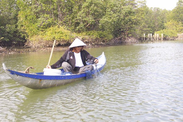 “Lá phổi xanh” Cồn Chim - Anh 1