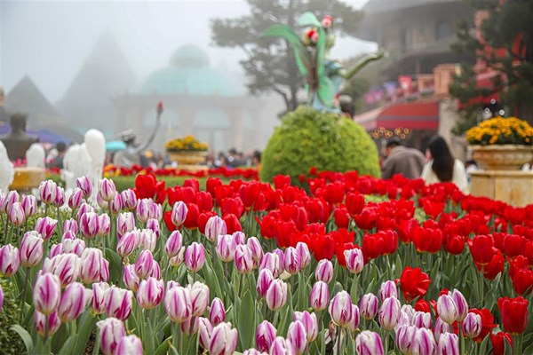 Ba Na Hills ưu đãi vé cáp treo chỉ còn 350.000 đồng tri ân người dân Quảng Nam, Đà Nẵng - Anh 2