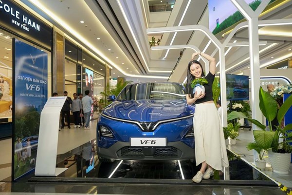 Người dùng hồ hởi đón nhận chương trình “Mãnh liệt tinh thần Việt Nam” của VinFast - Anh 3