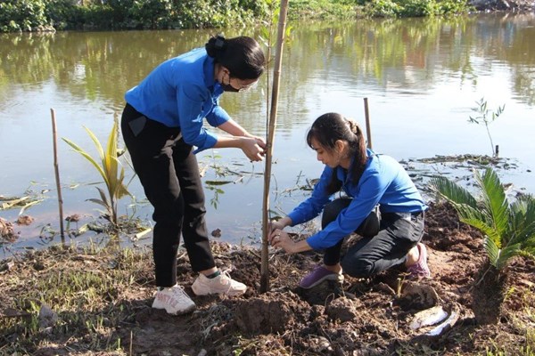Trồng cây xanh cải thiện môi trường, giảm nhẹ thiên tai - Anh 1