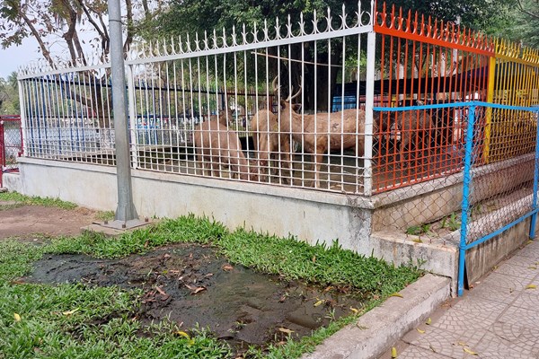 Dự án nâng cấp, cải tạo Công viên 29/3 đang bị “ách tắc” - Anh 2