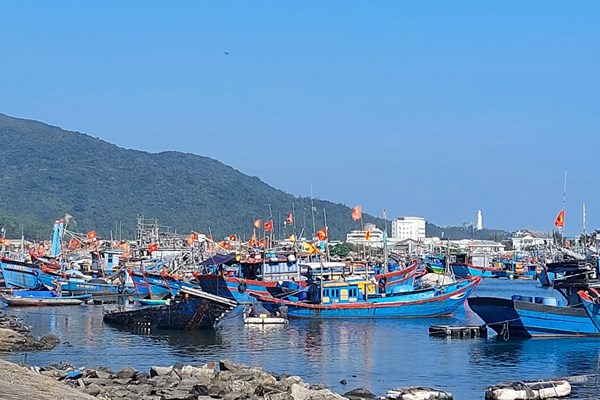 Đà Nẵng: Nỗ lực cải tạo “điểm nóng” ô nhiễm môi trường để phục vụ du lịch - Anh 1