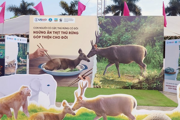 Người trẻ lên tiếng và hành động vì động vật hoang dã - Anh 2