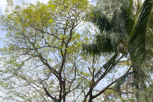 Làng cổ bệnh phong, điểm du lịch xanh, văn hóa tâm linh nằm cạnh biển Quy Hòa - Anh 2