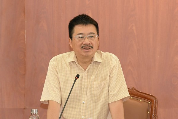 Phú Yên: Gần 12.000 VĐV tham gia giải Vô địch quốc gia Marathon 2024 - Anh 3