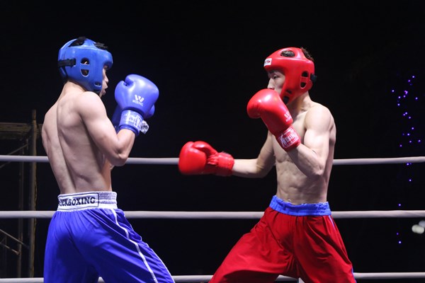 Giải vô địch Kickboxing các đội mạnh toàn quốc 2024: Gắn kết thể thao và du lịch - Anh 1