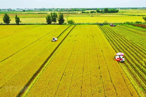 Thể chế hóa chủ trương của Đảng về nông nghiệp, nông dân, nông thôn trong Luật Đất đai 2024 - Anh 2