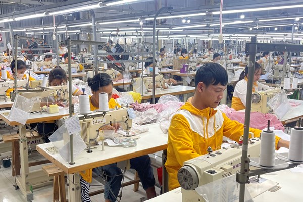 Biểu dương gần 400 đại biểu là người khuyết tật, trẻ mồ côi, người bảo trợ - Anh 2