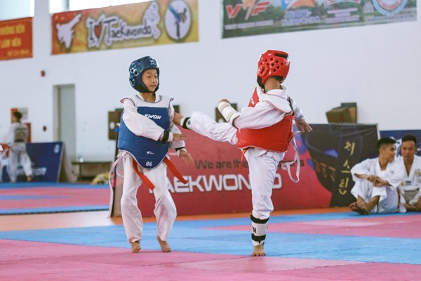 Đề án phát triển các môn thể thao trọng điểm: Hướng tới Olympic và Asian Games - Anh 1