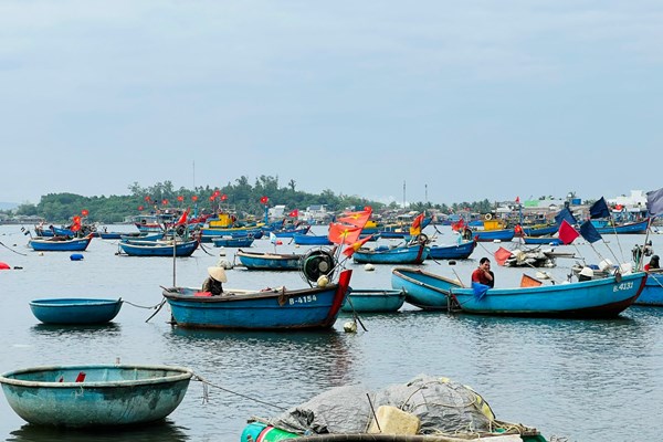 Mưu sinh nghề thúng chai của ngư dân ven biển Quảng Ngãi - Anh 1