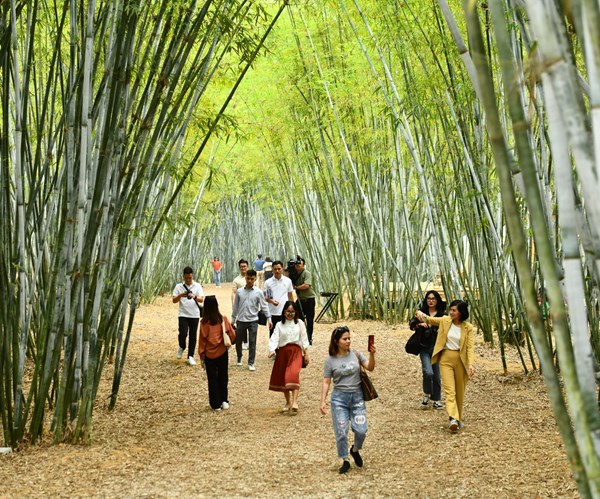 Du lịch nông nghiệp nông thôn: Thay đổi để phù hợp - Anh 1