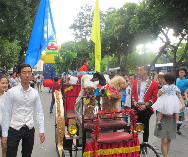 Lần đầu tiên diễu hành nghệ thuật xiếc trên tuyến phố đi bộ Thủ đô - Anh 4