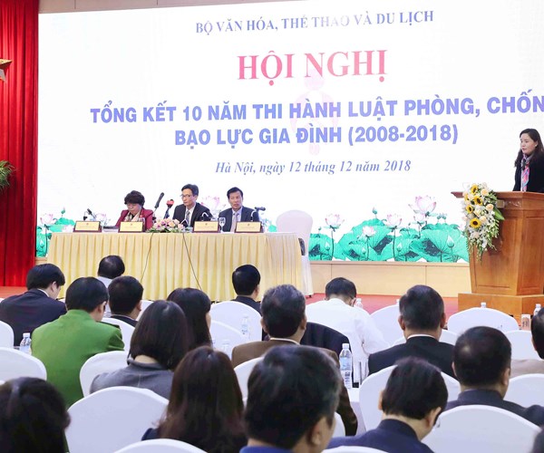 Hội nghị Tổng kết 10 năm thi hành Luật phòng, chống bạo lực gia đình - Anh 4