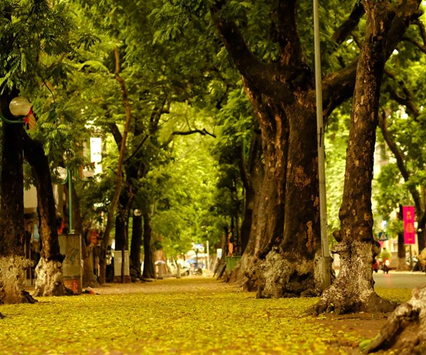 Thời tiết ngày 28.3: Bắc Bộ mưa rào và dông, Nam Bộ nắng nóng - Anh 1