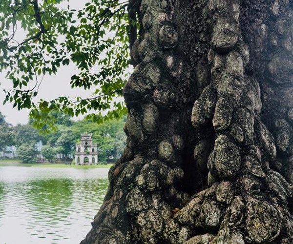Thời tiết ngày 29.3: Hà Nội mưa dông, cảnh báo lốc, sét và gió giật mạnh - Anh 1