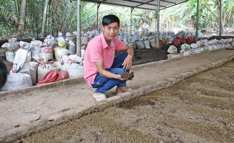 Thạc sỹ 9X bỏ về quê nuôi trùn quế bằng phân bò - Anh 1