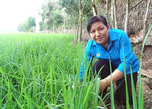 Mê làm cánh đồng lớn để mong dân làm giàu - Anh 1