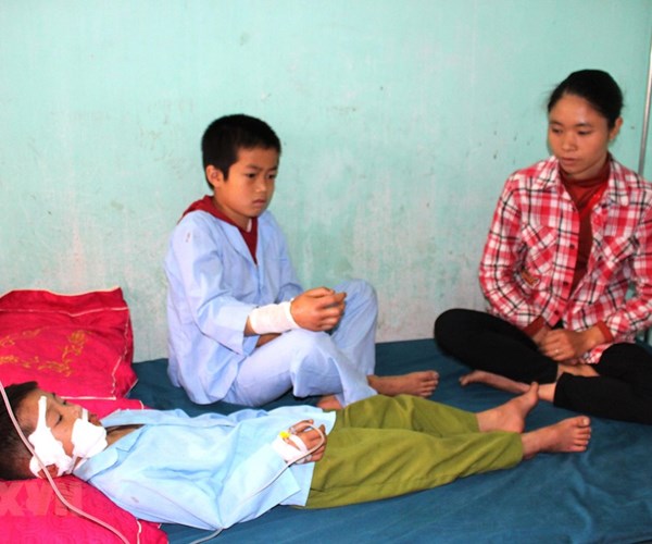 Hà Giang: Hai cháu bé nhập viện vì bị chó cắn trên đường đi học về - Anh 1