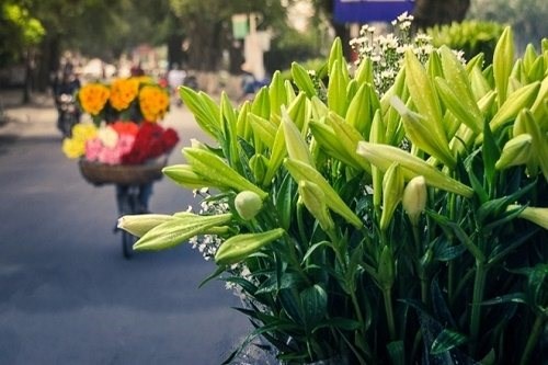 Thời tiết ngày 12.4: Miền Bắc mưa dông diện rộng, miền Trung giảm nhiệt - Anh 1