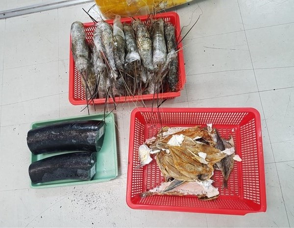 Bắt giữ đối tượng vận chuyển trái phép ngà voi qua đường hàng không - Anh 1