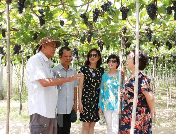 Lượng khách đến Ninh Thuận dịp nghỉ lễ tăng gấp 3 lần năm ngoái - Anh 1