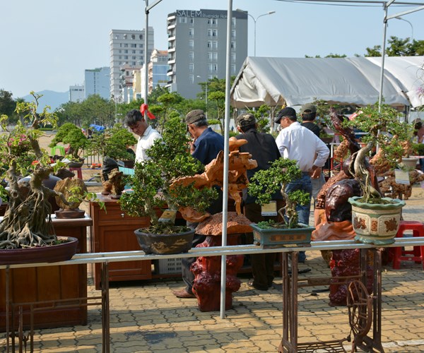 Không gian sinh vật cảnh Mùa du lịch TP Đà Nẵng 2019: Hút du khách bằng nhiều tác phẩm độc đáo - Anh 2