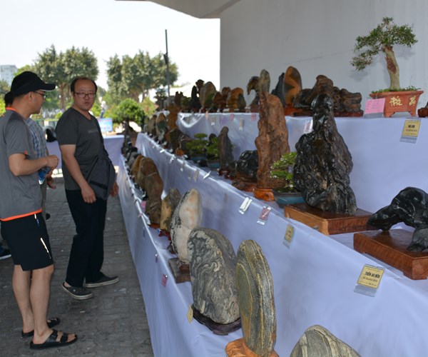 Không gian sinh vật cảnh Mùa du lịch TP Đà Nẵng 2019: Hút du khách bằng nhiều tác phẩm độc đáo - Anh 1