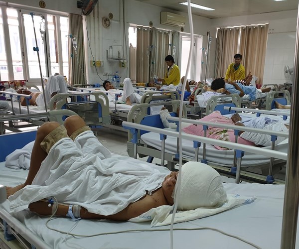 Trẻ 12 tuổi bị lột da đầu, mất hoàn toàn 2 tai do chó cắn - Anh 1