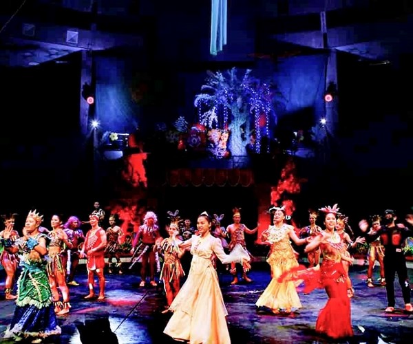Khi lợn, đà điểu, vẹt... diễn xiếc thay động vật hoang dã - Anh 3