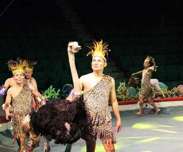 Khi lợn, đà điểu, vẹt... diễn xiếc thay động vật hoang dã - Anh 4