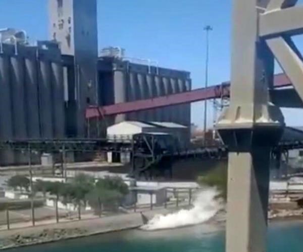 Mexico: 3.000 lít axit tràn ra Vịnh California gây thảm họa môi trường - Anh 1
