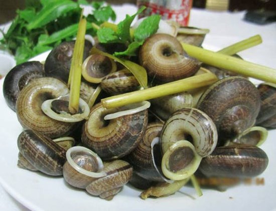 Đặc sản ốc núi đá: Giòn, ngon, lạ khiến thực khách mê mẩn - Anh 1