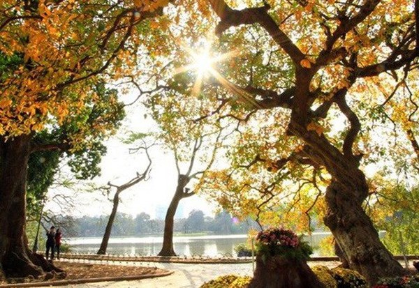 Thời tiết ngày 17.7: Bắc Bộ ngày nắng nóng, chiều tối mưa rào, Trung Bộ trên 38oC - Anh 1