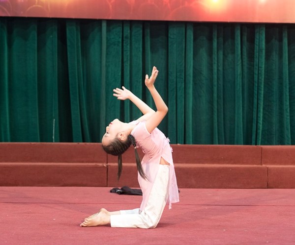 Chung kết Cuộc thi hành trình “Tìm kiếm tài năng trẻ Việt Nam” năm 2019 - Anh 2