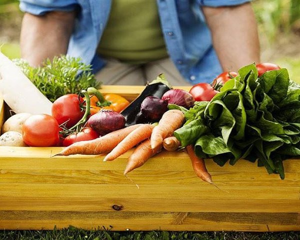 Việt Nam phấn đấu vào top 15 về nông nghiệp hữu cơ - Anh 1