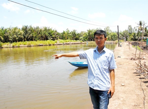 "Thuần hóa" cá bông lau trong ao, ngọt thịt, giá cao gấp 5 cá tra - ảnh 1