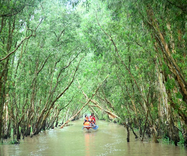 Mê mẩn Trà Sư mùa nước nổi - Anh 2