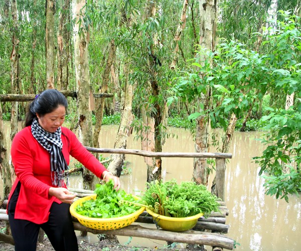 Mê mẩn Trà Sư mùa nước nổi - Anh 3