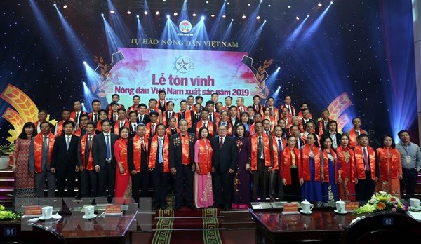 Nữ nông dân biến đồi núi khô cằn thành trang trại tiền tỉ - Anh 1