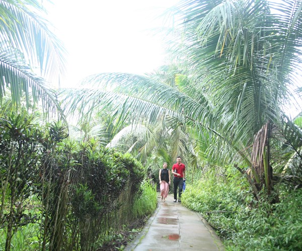 Cồn Sơn, băn khoăn giữa cơn thức - ngủ - Anh 3