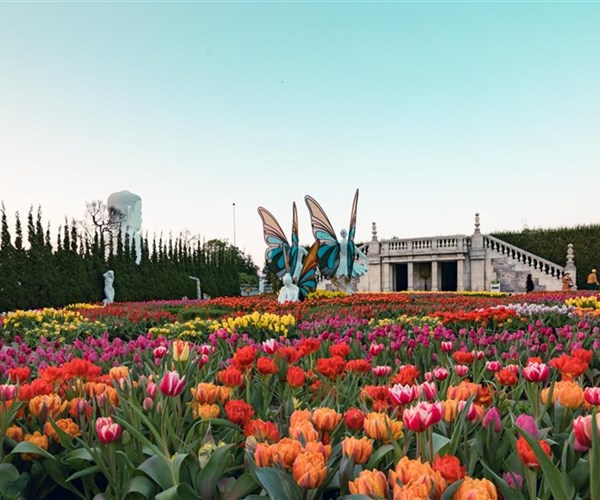 Bà Nà Hills & hành trình lột xác cùng du lịch Đà Nẵng - Anh 4