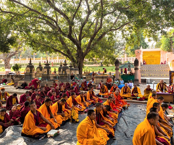 Du xuân về miền đất Phật nổi tiếng thế giới - Anh 3