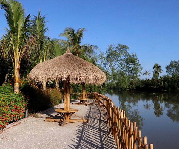 Làng tre đẹp đến khó tin ở Cần Thơ - Anh 2