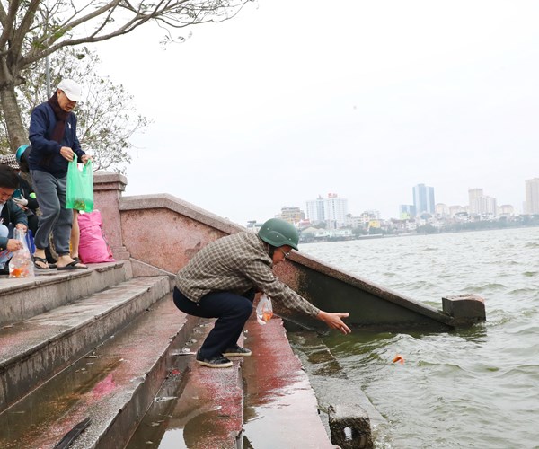 Thả cá chép ngày ông Công, ông Táo: Chung tay bảo vệ hành tinh xanh - Anh 1