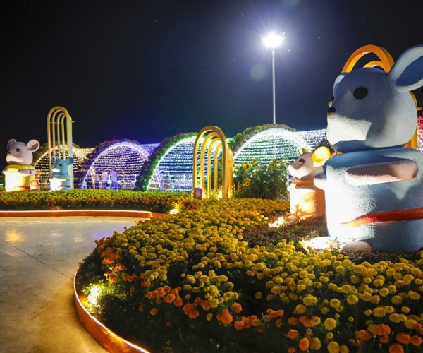 Du xuân với tượng chuột khổng lồ ở khu lấn biển Kiên Giang - Anh 1