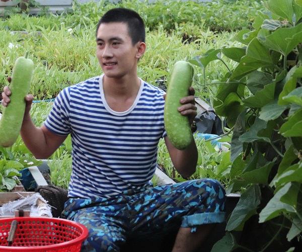 Truong Sa khong xa (Bai 2): Mam xanh, suc song Truong Sa - Anh 12