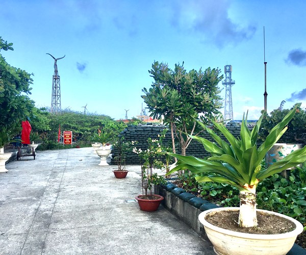 Truong Sa khong xa (Bai 2): Mam xanh, suc song Truong Sa - Anh 8